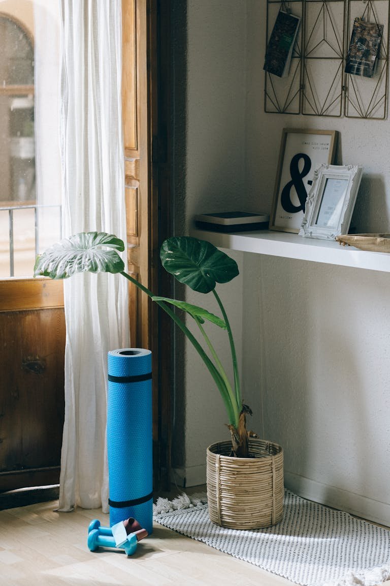 A serene corner of a home featuring a plant, yoga mat, and dumbbells for a healthy lifestyle.