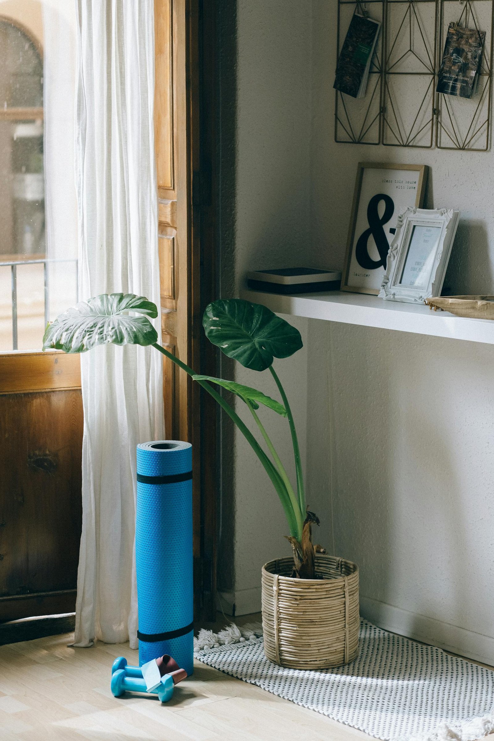 A serene corner of a home featuring a plant, yoga mat, and dumbbells for a healthy lifestyle.